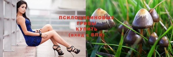 ешки Баксан